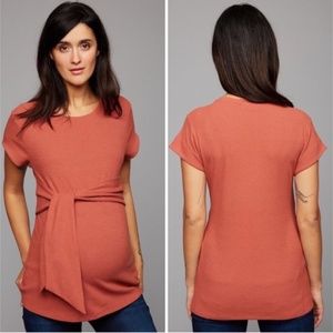 A Pea in the Pod Rust Short Sleeve Top